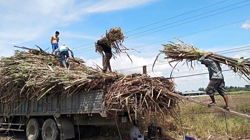 Dịch Vụ Vận Chuyển Đường Mía Từ Bình Dương Đến Đà Nẵng