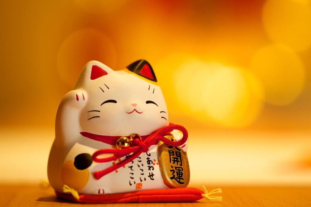 Dịch Vụ Vận Chuyển Mèo Thần Tài Bằng Đường Sắt An Toàn, Nhanh Chóng