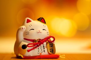 Dịch Vụ Vận Chuyển Mèo Thần Tài Bằng Đường Sắt An Toàn, Nhanh Chóng