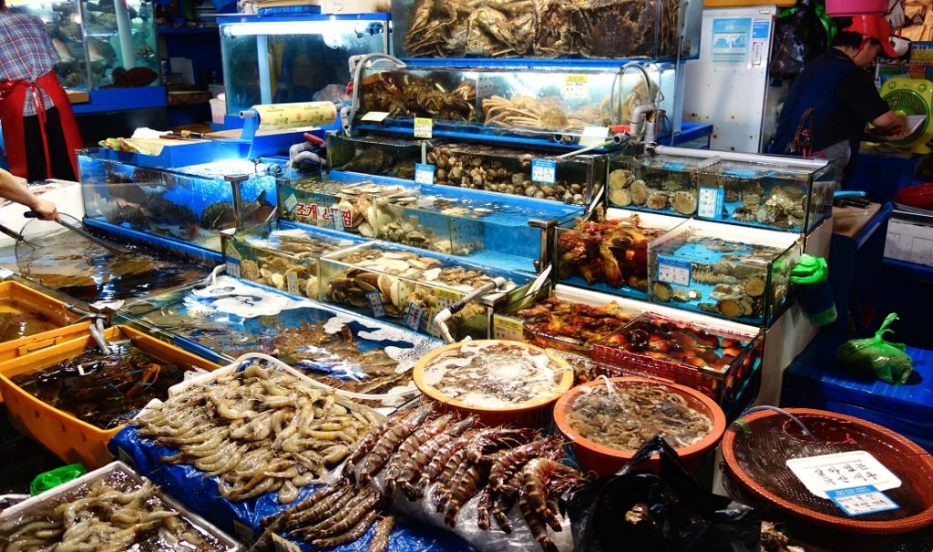 Gửi Hải Sản Đông Lạnh Từ Nha Trang Ra Hà Nội Bằng Tàu Hỏa: Có Khả Thi? Gửi Hải Sản Đông Lạnh Từ Nha Trang Ra Hà Nội Bằng Tàu Hỏa: Có Khả Thi?