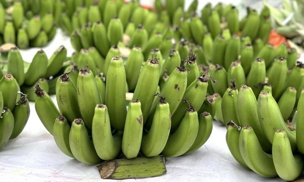 Dịch vụ vận chuyển chuối bằng đường sắt từ Đồng Nai ra Hà Nội – Giải pháp tối ưu cho nông sản tươi
