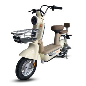 Vận chuyển xe đạp điện bằng đường sắt – Giải pháp an toàn, tiết kiệm và nhanh chóng
