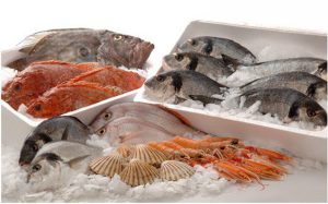 Vận chuyển hàng hóa đông lạnh từ Hồ Chí Minh đến Hà Nội bằng đường sắt – Giải pháp tối ưu cho chuỗi cung ứng lạnh