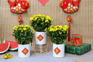 VẬN CHUYỂN CÂY HOA NGÀY TẾT ĐI KHẮP CẢ NƯỚC BẰNG ĐƯỜNG SẮT – GIẢI PHÁP AN TOÀN, ỔN ĐỊNH CHO NHÀ VƯỜN & THƯƠNG LÁI