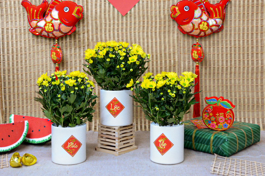 VẬN CHUYỂN CÂY HOA NGÀY TẾT ĐI KHẮP CẢ NƯỚC BẰNG ĐƯỜNG SẮT – GIẢI PHÁP AN TOÀN, ỔN ĐỊNH CHO NHÀ VƯỜN & THƯƠNG LÁI