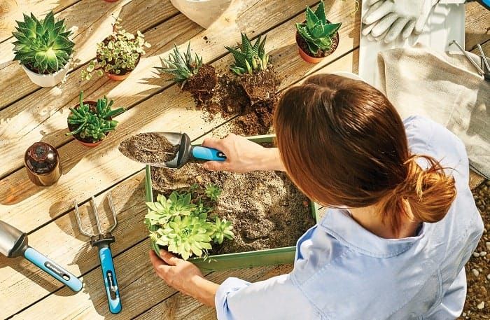 Chăm Sóc Cây Trồng